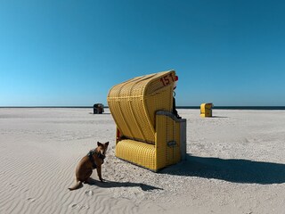 Amrum - Strandkörbe am großen Kniepsand