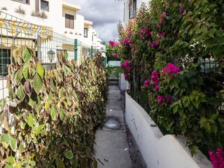 Appartement Puerto Rico (Gran Canaria)  56