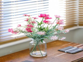 Appartement Brighton  24