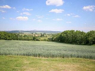 Holiday cottage Welt Outdoor Recording 3