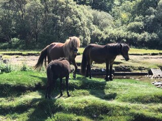 Cottage Newton Abbot Umgebung 16