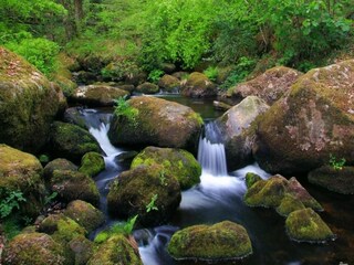 Maison de vacances Newton Abbot Environnement 34