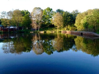 Vakantiehuisje Newton Abbot Omgeving 20