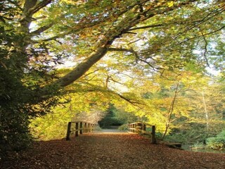 Holiday cottage Newton Abbot Environment 43