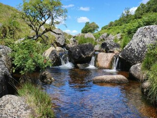 Holiday cottage Newton Abbot Environment 46