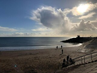 Holiday cottage Newton Abbot Environment 57