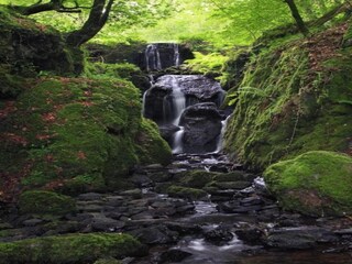 Holiday cottage Newton Abbot Environment 20