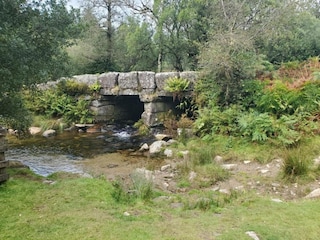 Holiday cottage Newton Abbot Environment 11