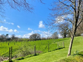 Holiday cottage Newton Abbot Environment 9