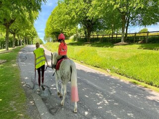 Maison de vacances Newton Abbot Environnement 34