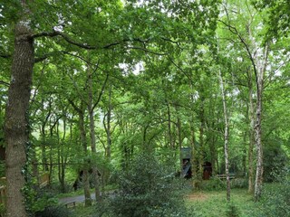 Vakantiehuisje Newton Abbot Omgeving 32