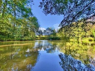 Maison de vacances Newton Abbot Environnement 48