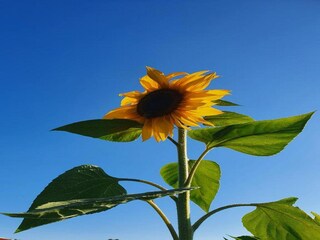 Vakantiehuisje Newton Abbot Omgeving 35