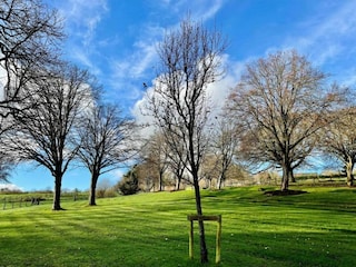 Cottage Newton Abbot Umgebung 25