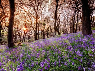 Casa vacanze Welt Ambiente 29