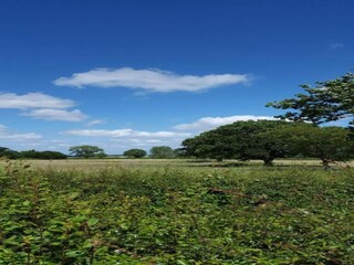 Holiday cottage Welt Environment 19