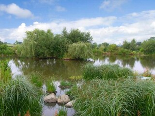 Vakantiehuisje Welt Omgeving 21