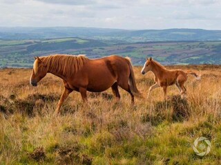 Casa vacanze Welt Ambiente 33