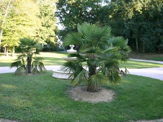 Casa de vacaciones Haget Grabación al aire libre 7