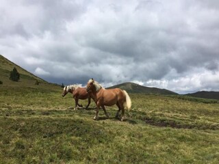 Casa de vacaciones Haget Entorno 23