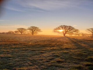 Vakantiehuisje Welt Omgeving 20