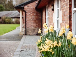 Cottage Welt Außenaufnahme 3