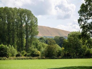 Vakantiehuisje Welt Omgeving 37