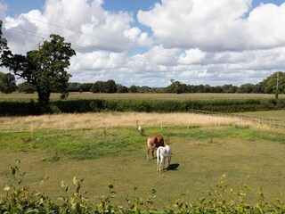 Casa vacanze Welt Ambiente 24