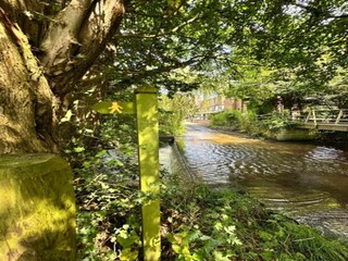 Vakantiehuisje Welt Omgeving 18