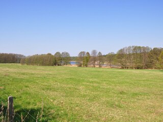 View to the lake