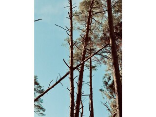 Ferienhaus Speck Umgebung 25