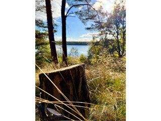 Ferienhaus Speck Umgebung 26