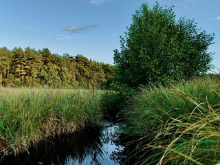 Ferienhaus Speck Umgebung 23