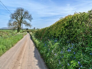 Cottage Liskeard Außenaufnahme 10