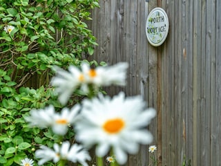 Vakantiehuisje Newquay Buitenaudio-opname 3