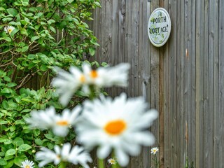 Vakantiehuisje Newquay Buitenaudio-opname 5