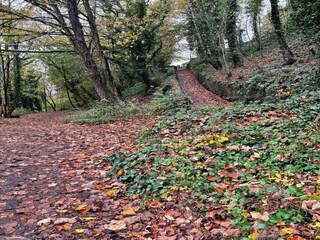 Casa de vacaciones Buxton Entorno 20