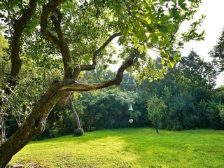 Casa vacanze Padstow Registrazione all'aperto 6