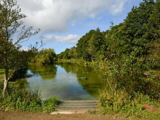 Vakantiehuisje Mawgan Porth Omgeving 35