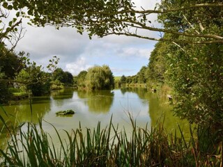Vakantiehuisje Mawgan Porth Omgeving 34