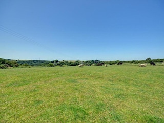 Holiday cottage Mawgan Porth Environment 21