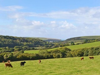 Cottage Mawgan Porth Umgebung 25