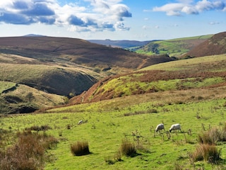 Cottage Buxton Außenaufnahme 4