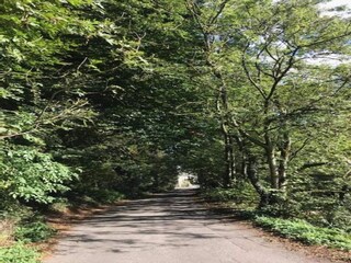 Vakantiehuisje Buxton Omgeving 28