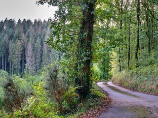 Vakantiehuisje Umberleigh Buitenaudio-opname 3