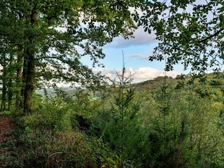 Cottage Umberleigh Außenaufnahme 6