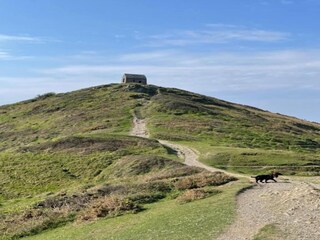 Vakantiehuis Plymouth Omgeving 27