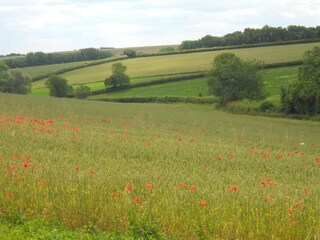 Cottage Great Rissington Umgebung 22