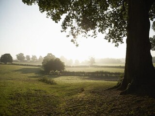 Maison de vacances Great Rissington Environnement 23