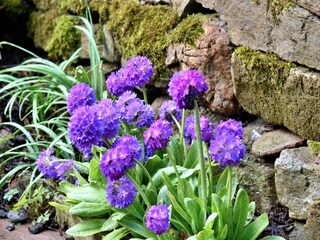 Maison de vacances Richmond (North Yorkshire) Enregistrement extérieur 3